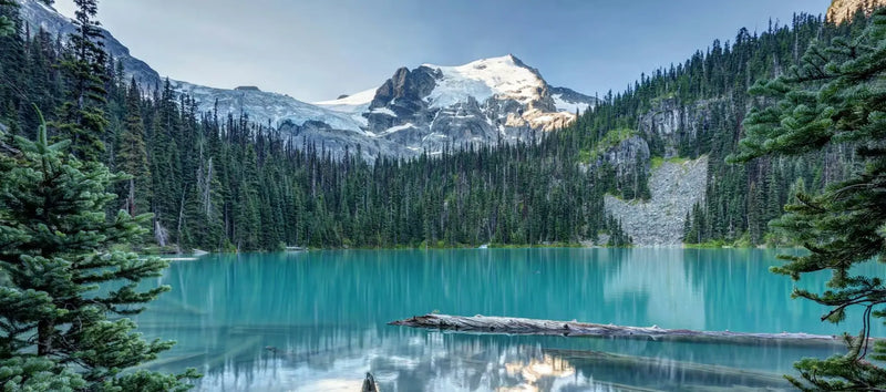 eSIM British-Columbia