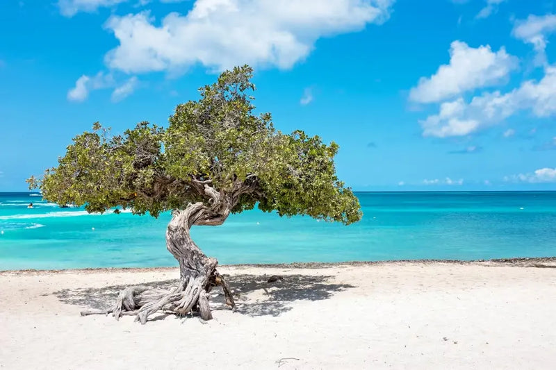 eSIM Caribbean